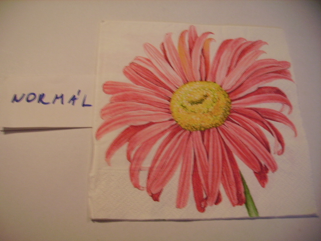 szalvta: PID15531.JPG