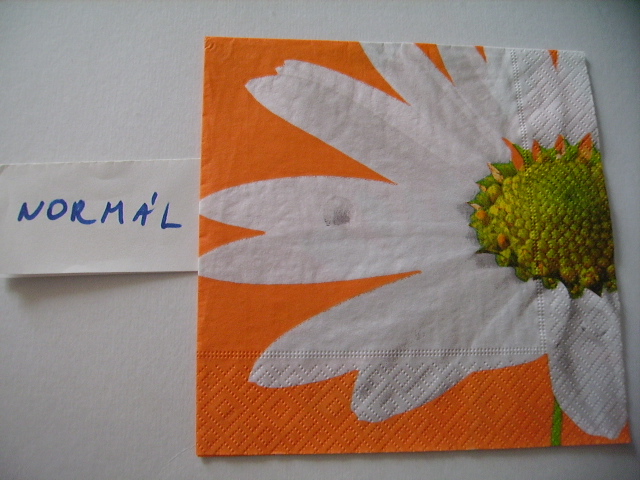 szalvta: PID15774.JPG