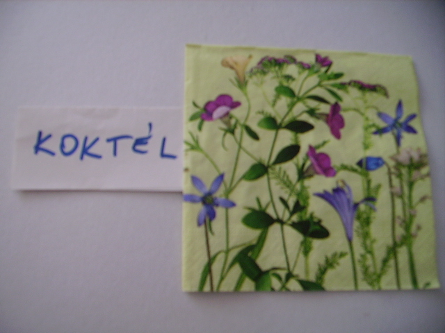 szalvta: PID15851.JPG