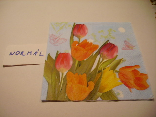 szalvta: PID15862.JPG