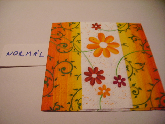 szalvta: PID15868.JPG