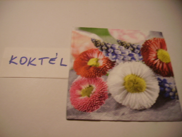 szalvta: PID15924.JPG