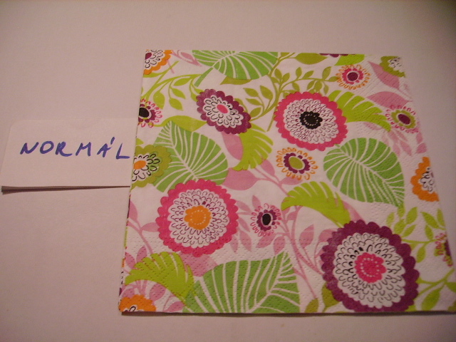 szalvta: PID16067.JPG