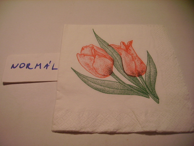 szalvta: PID16070.JPG