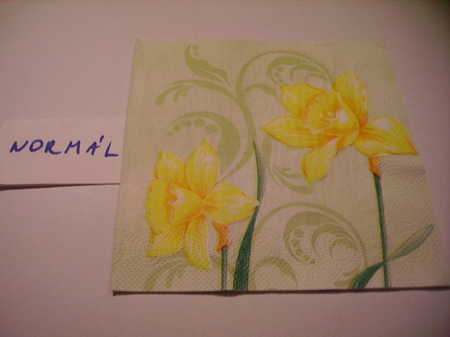 szalvta: PID16078.JPG