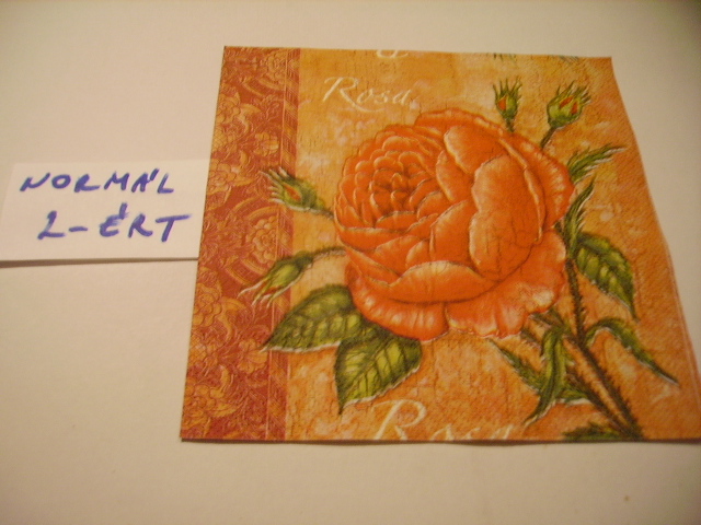 szalvta: PID16095.JPG