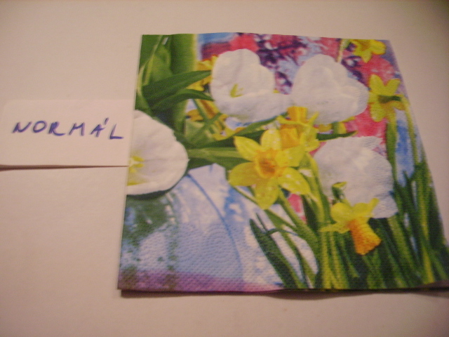 szalvta: PID16101.JPG