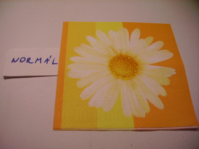 szalvta: PID16106.JPG