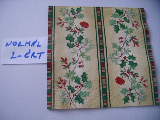 szalvta: PID16930.JPG