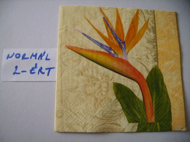 szalvta: PID16991.JPG