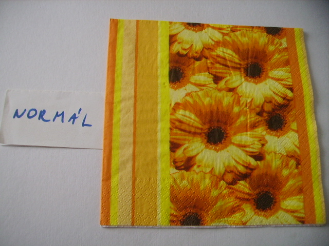 szalvta: PID17031.JPG