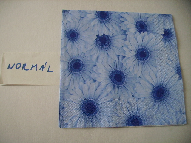 szalvta: PID17032.JPG