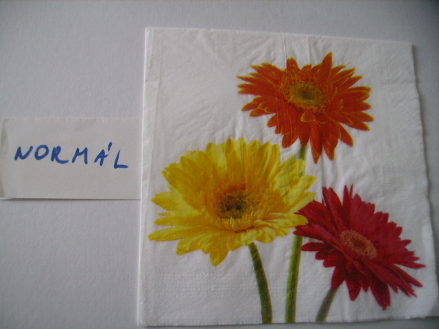 szalvta: PID17035.JPG