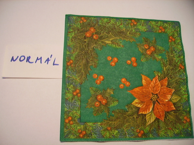 szalvta: PID17117.JPG