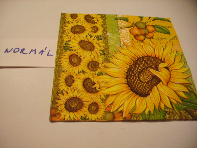 szalvta: PID17322.JPG