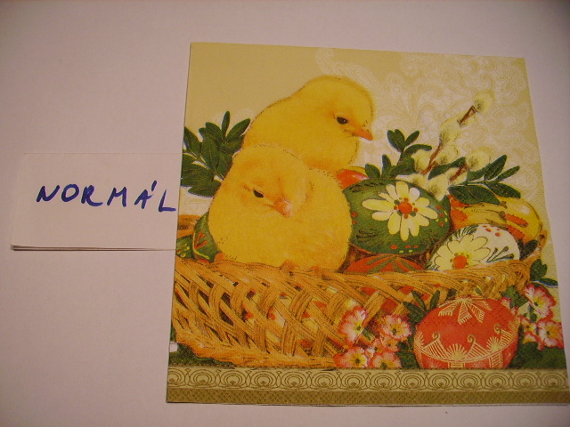 szalvta: PID17770.JPG