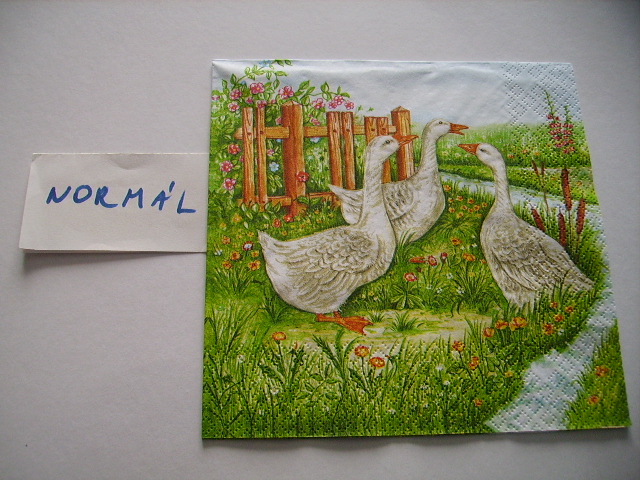 szalvta: PID17981.JPG