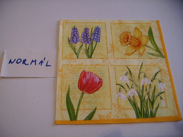 szalvta: PID17987.JPG