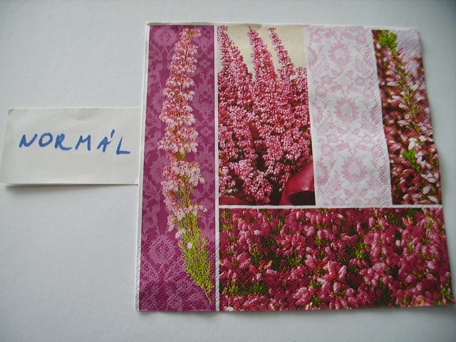 szalvta: PID18017.JPG