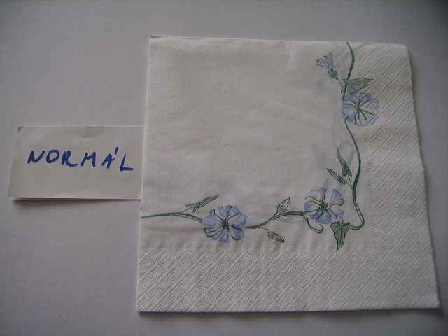 szalvta: PID18018.JPG