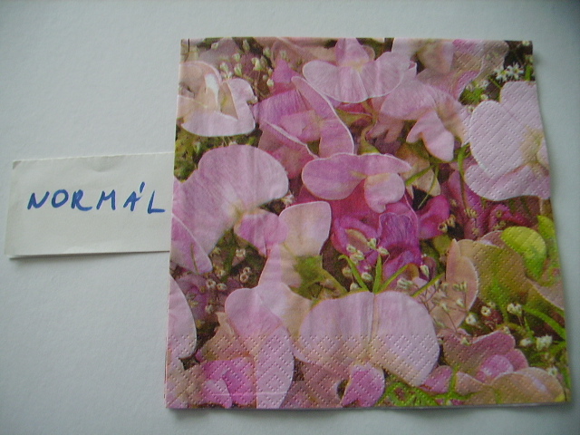 szalvta: PID18027.JPG