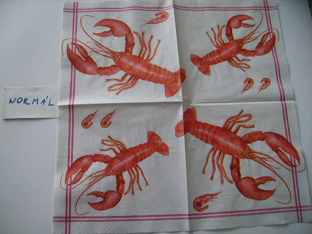 szalvta: PID18031.JPG