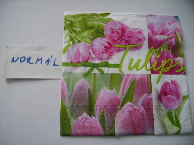 szalvta: PID18058.JPG