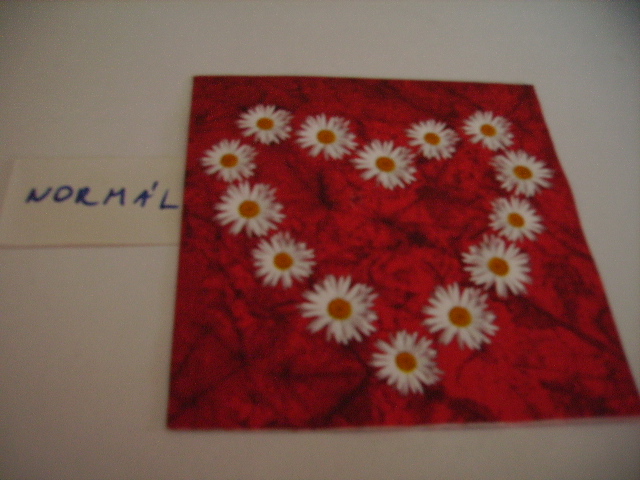 szalvta: PID18149.JPG