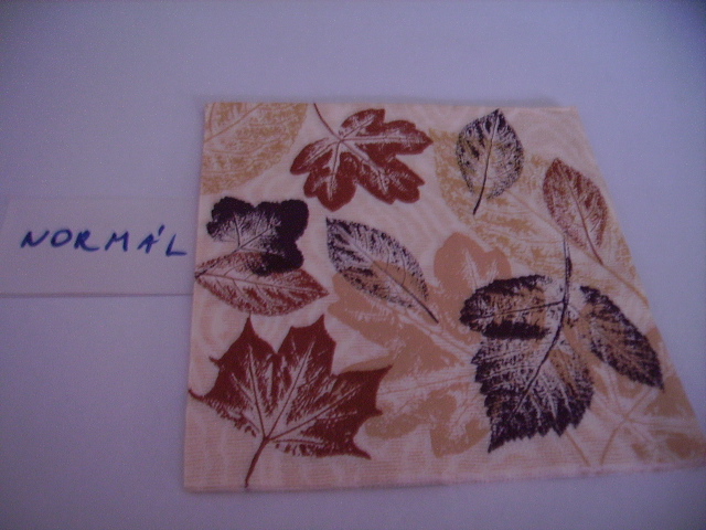 szalvta: PID18153.JPG