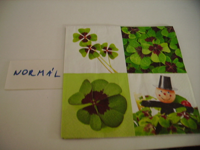 szalvta: PID18167.JPG