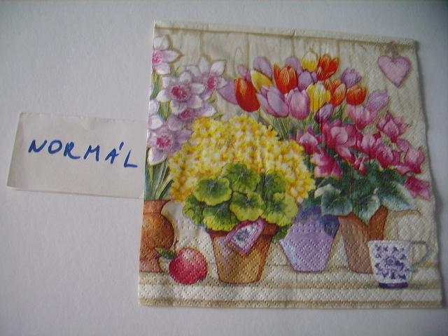 szalvta: PID18352.JPG