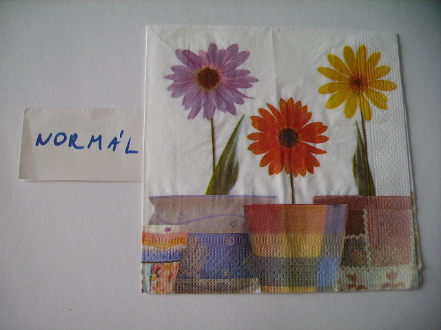 szalvta: PID18356.JPG