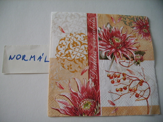 szalvta: PID18431.JPG