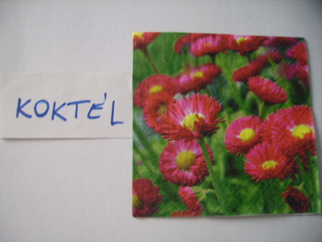 szalvta: PID18637.JPG