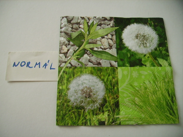 szalvta: PID18743.JPG