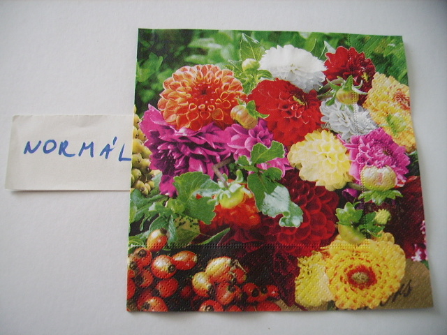 szalvta: PID18744.JPG