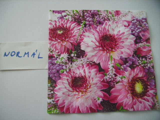 szalvta: PID18745.JPG