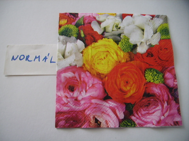 szalvta: PID18746.JPG