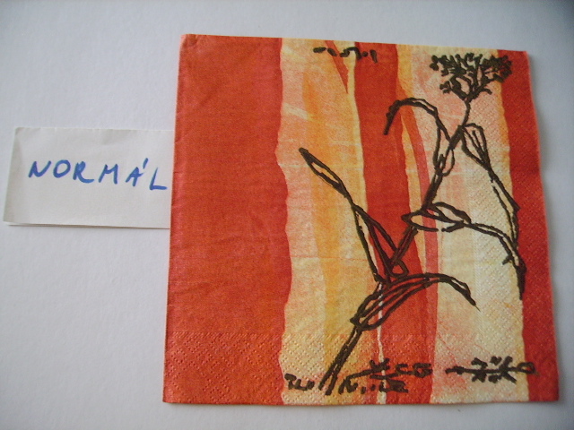 szalvta: PID19328.JPG