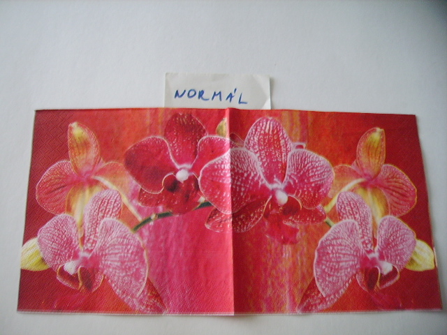 szalvta: PID19333.JPG