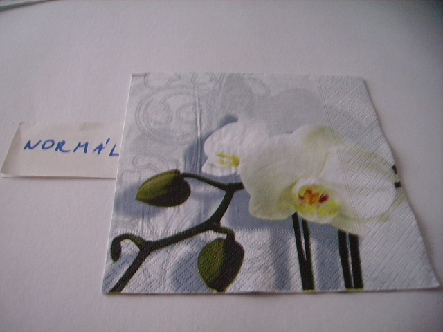 szalvta: PID19338.JPG