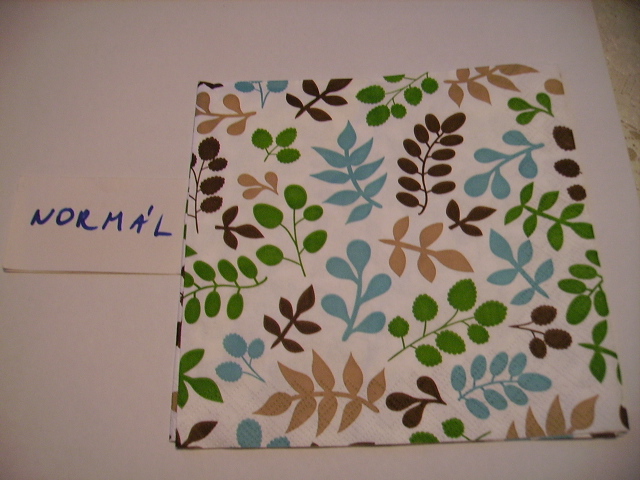 szalvta: PID19538.JPG