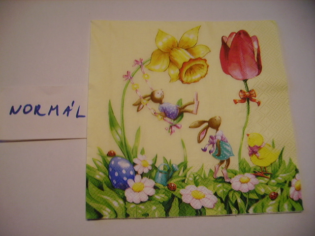 szalvta: PID19949.JPG