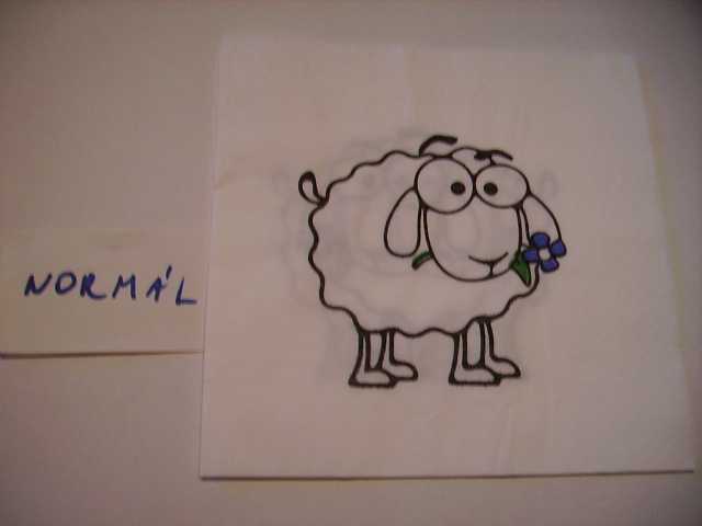 szalvta: PID19955.JPG