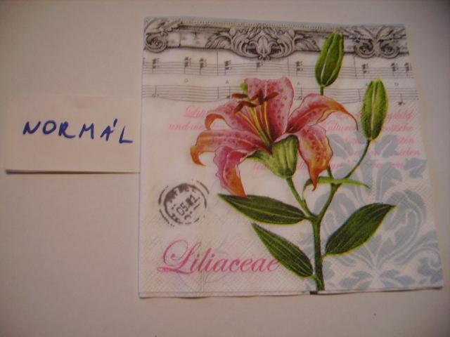 szalvta: PID19958.JPG