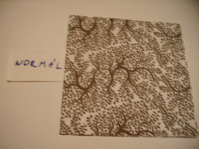 szalvta: PID19996.JPG