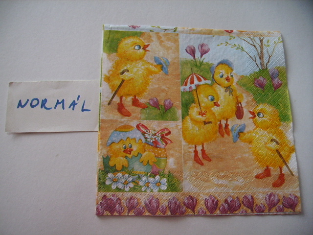 szalvta: PID20101.JPG