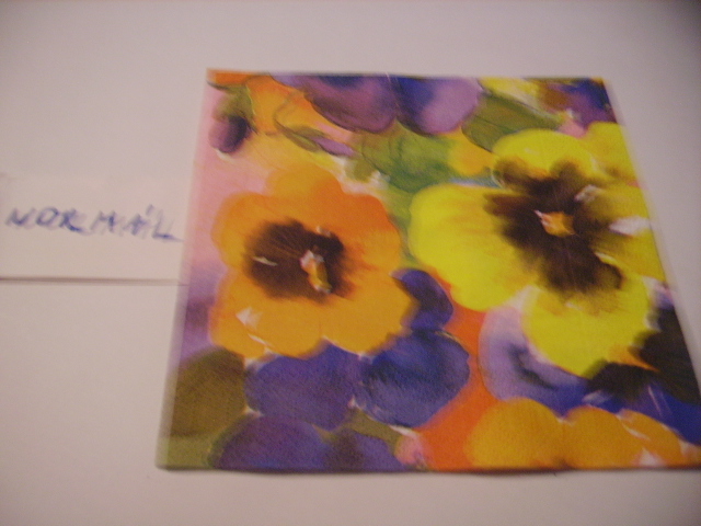 szalvta: PID20261.JPG