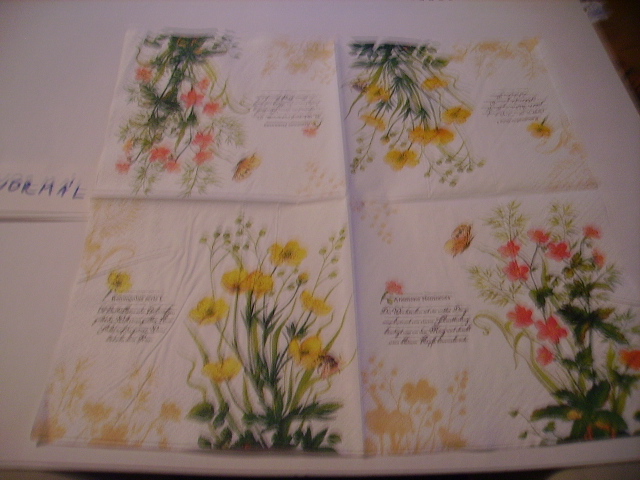 szalvta: PID20267.JPG