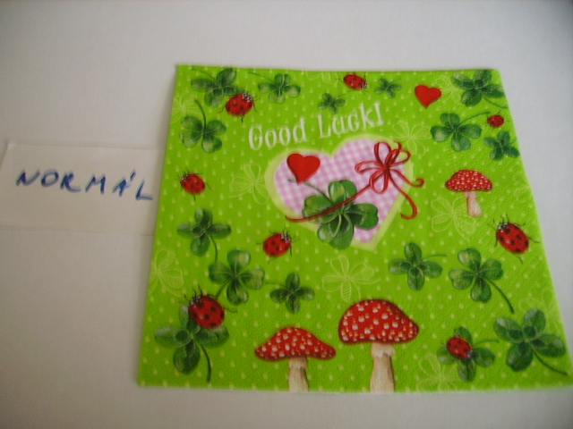 szalvta: PID20402.JPG